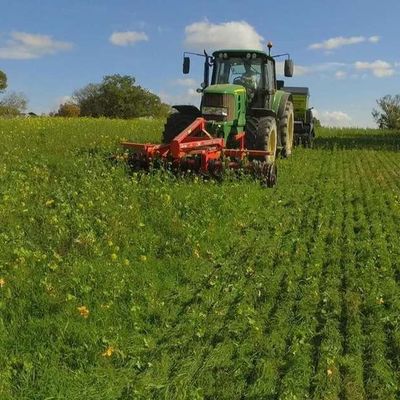 Bienvenue les vers de terre