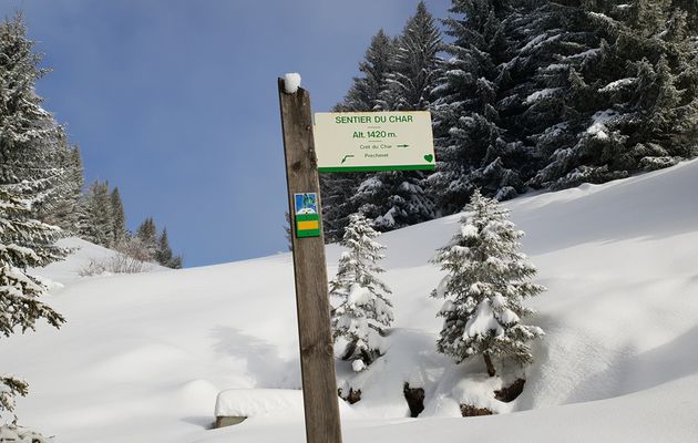 Sentier du Crêt du Char en raquettes avec l'ADAPAR 25.01.2019