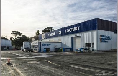 29 - Loctudy - Finistère