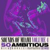 MIXTAPE : Mick Boogie & Pharrell "Sound Of Miami 4 : So Ambitious"