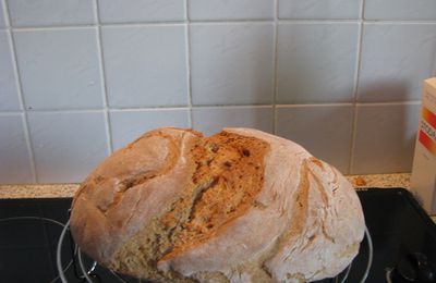 pain au levain à la farine de petit épeautre (map/four)