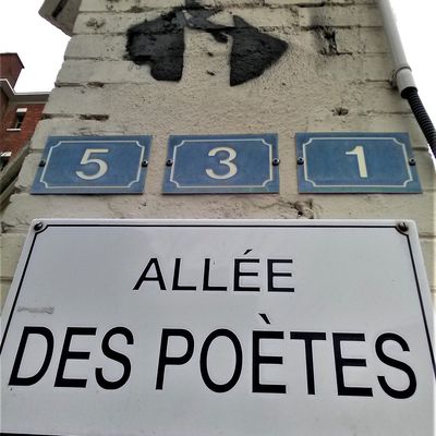 Petites balades en banlieue (suite)