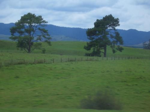 Album - 20-Rotorua_Tag_1_2