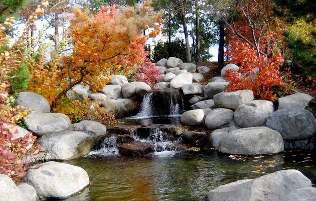 Se détendre en pleine nature grâce au yoga