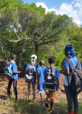 A la découverte de la mangrove - Iloni