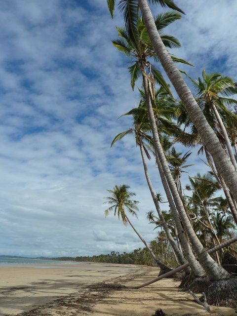 Album - From Airlie Beach to Mission Beach