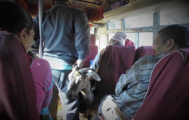 Mugling, 10 Mars 2019. Népal à vélo. Les bus locaux au Népal, une expérience à vivre.