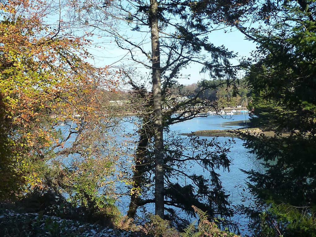 Album - Coet-Kaloun-Propriété- Une presqu'île dans les bois et  bordée par la rivière d'Auray