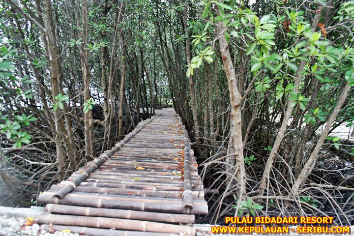 Pulau Bidadari Eco Resort Kepulauan Seribu Jakarta