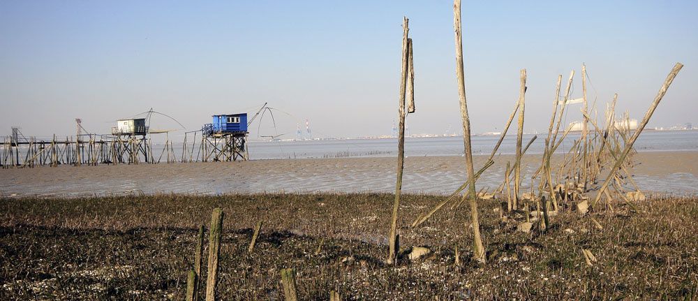 Album - Estuaire de la Loire