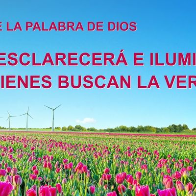 Canción cristiana | Dios esclarecerá e iluminará a quienes buscan la verdad
