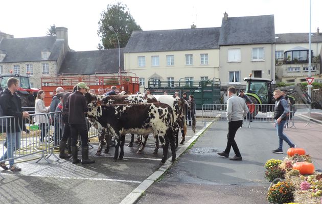 Comice (2) : Le palmarès des Normandes