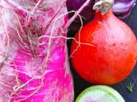 Travail sur le jardin avec l'école de Cambremer.