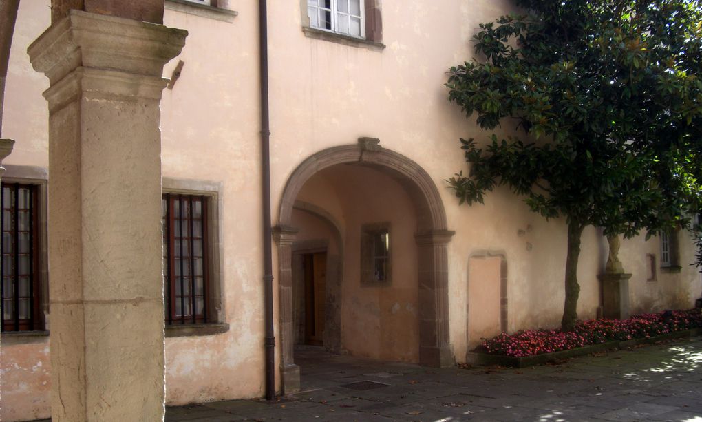 Aux portes du parc régional des Vosges, aux confins de la Lorraine, de l'Alsace et de la Bourgogne, ville d'eau depuis l'antiquité, Luxeuil jouit d'une patrimoine architectural moyen-âge/renaissance intéressant.