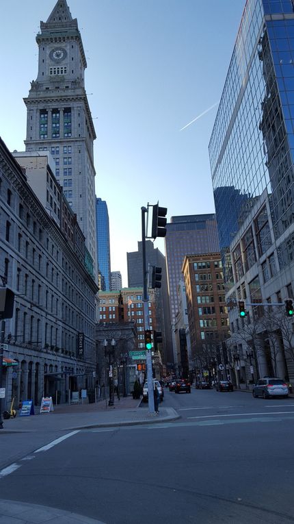 Various pictures of Boston