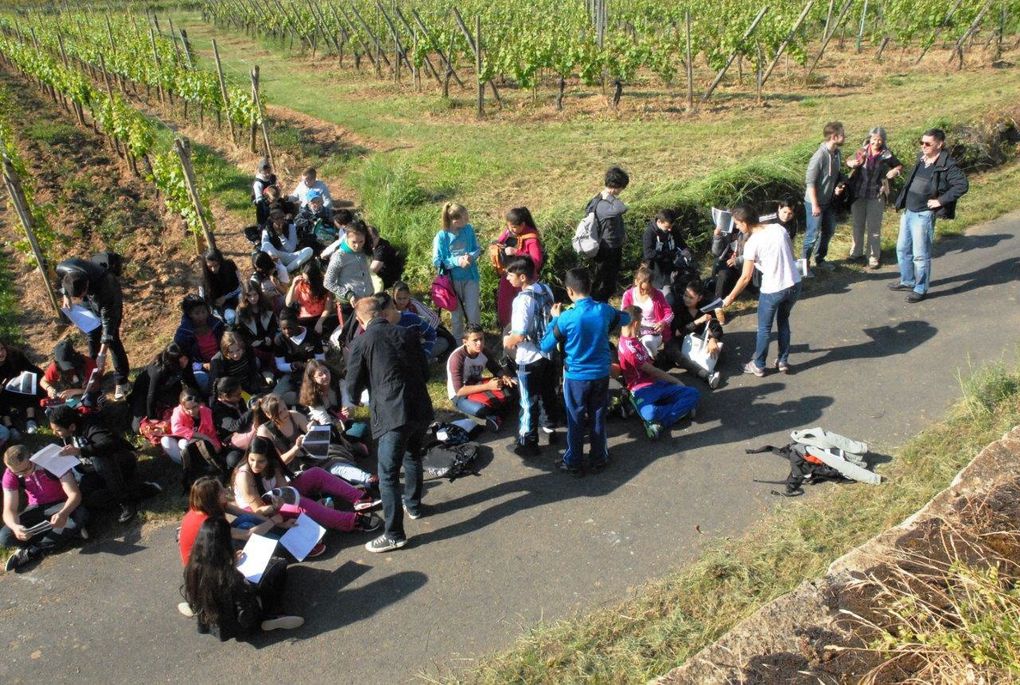 C'était le 22 mai, découverte des collines du Florimont, avec le collège Molière