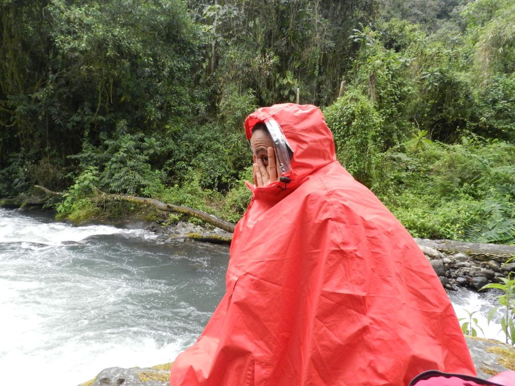 Pereira y La Pastora, Colombia llegamos!