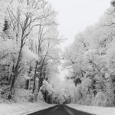 La nature givrée