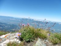 La cime de la Jasse avec son névé. D'en haut, la Chartreuse.