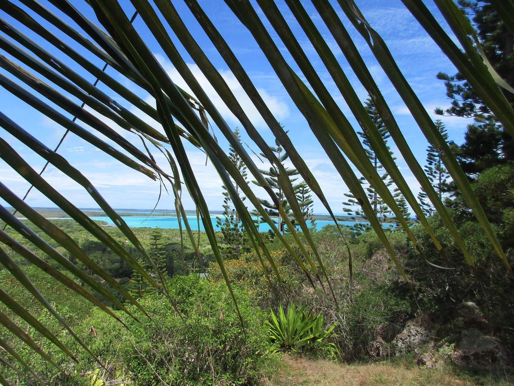 Tour de l'île