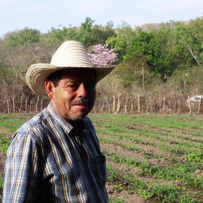 Taxisco, Guatemala à vélo 24 Février 2017. Visite guidée de l’exploitation agricole d’Efraïm Murales. 