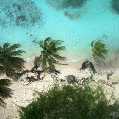 plage de bois jolan