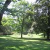 Promenade dans High Park