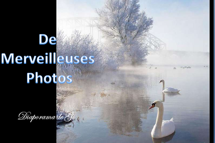 De merveilleuses photos