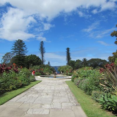 Les jardins botaniques de Sydney
