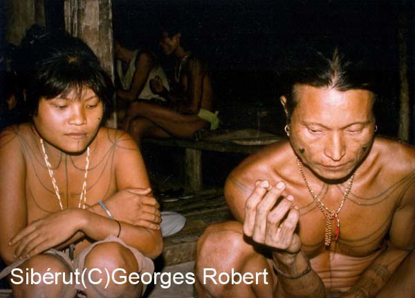 En 1989, j'avais fait un raid de trois semaines en solitaire sur l'île Sibérut en Indonésie. Une rencontre étonnante avec les Sakkudai dont la culture est malheureusement appelée à disparaître...