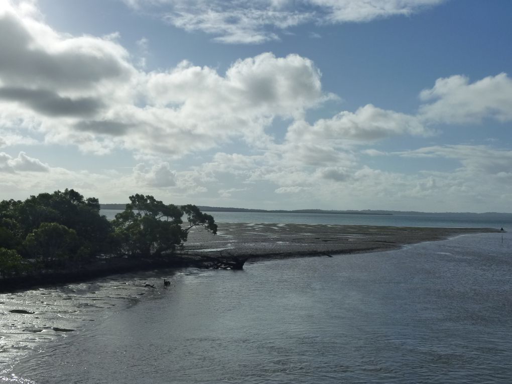 Album - Fraser-Island-1-Day-Tour