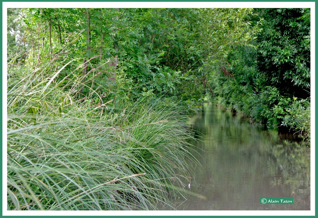 Album - le-marais-Poidevin