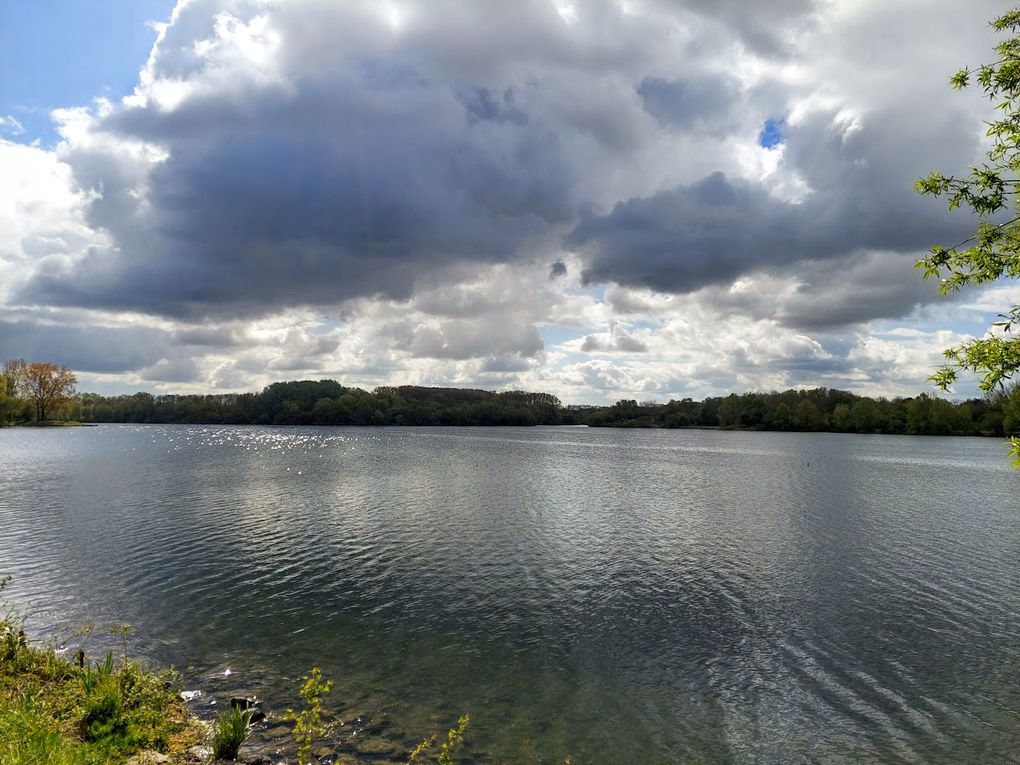 lac du Héron à Villeneuve d'Ascq