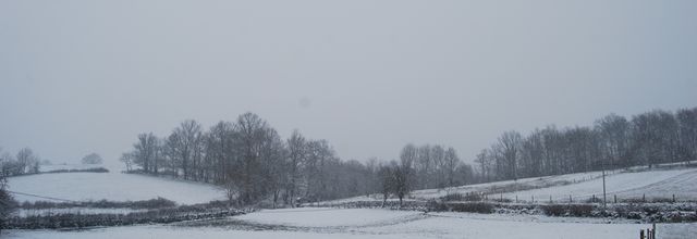 Sous la neige.......