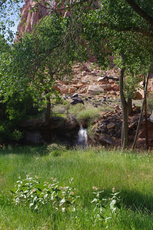 USA Road Trip - Jour 16/25 - Capitol Reef National Park - Torrey