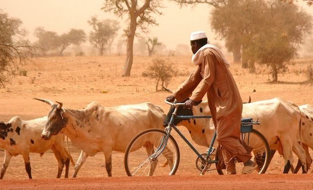 BURKINA FASO, Dori au carrefour des transhumances transfrontalières au sud du Sahel