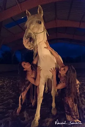 Flamma : Spectacle de danse et de feu 