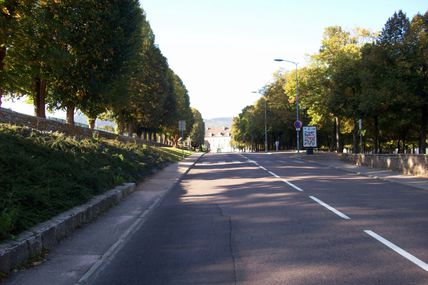 Quartier de la Croix-Verte : l'avenue du 2e Dragons.