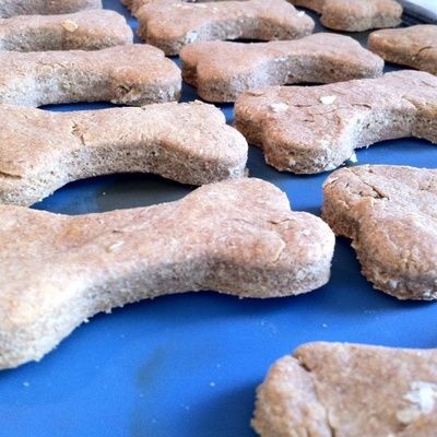 Comment préparer des biscuits pour chien ? Recettes faciles et pas chères