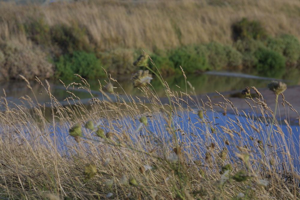 Images des marais salants de Gu&eacute;rande&nbsp;au lever du soleil