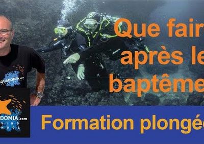 Que faire après le baptême ? Niveau 1, moniteur de plongée... les infinies solutions de formation !