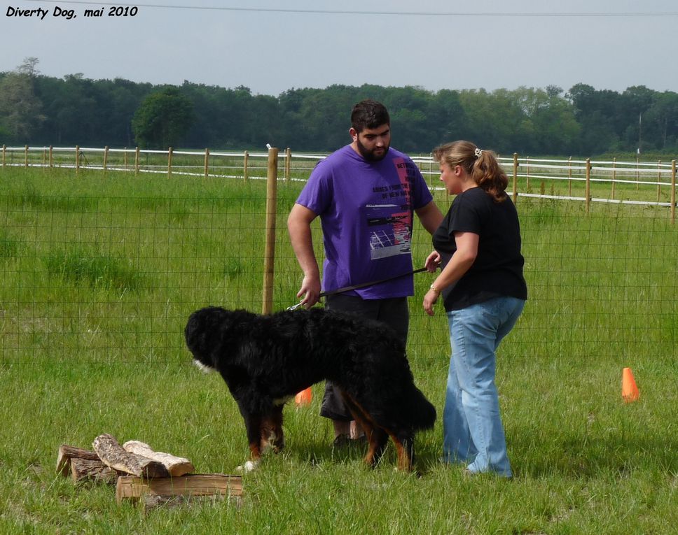 Education canine au centre Diverty Dog, mai 2010