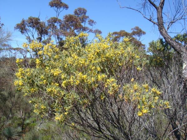 Album - Flinders-Ranges