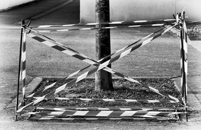 Voir les lignes..
