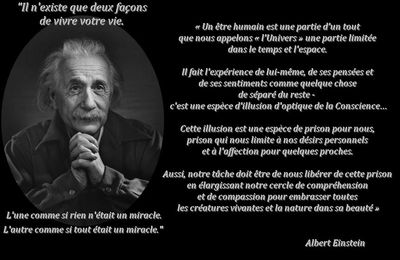 30 Leçons de vie d'Albert Einstein