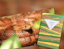 Le Serpent des blés 