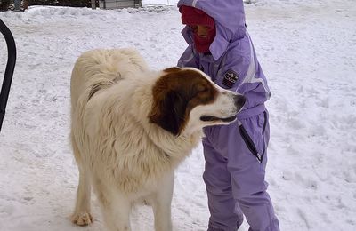 TORNJAKS dans la neige   janvier  2019 