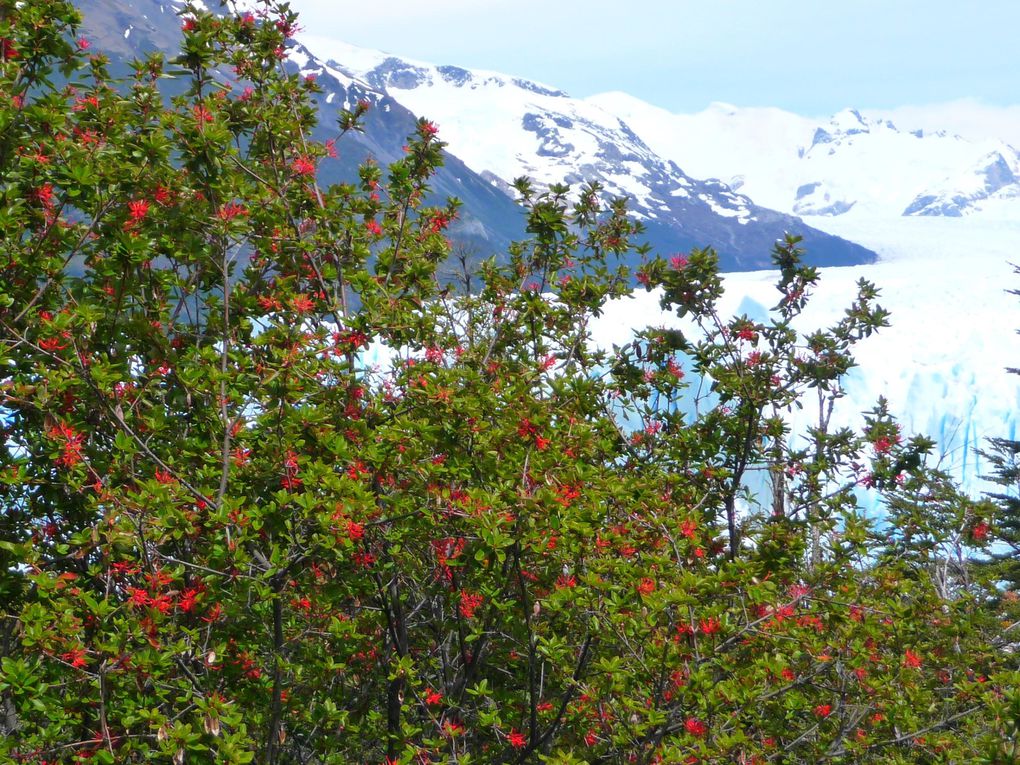 Album - Patagonie 2009