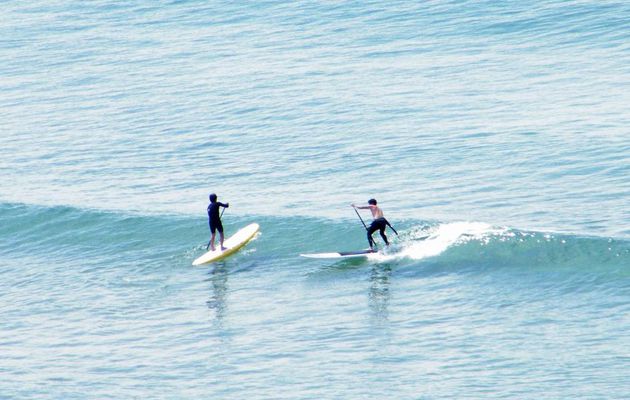 Stand Up Paddle