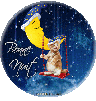 Gif animé bonne nuit avec lune et chat